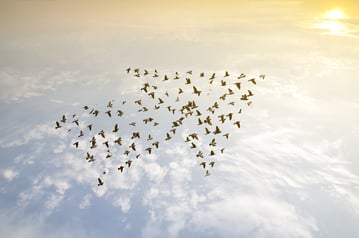 Fotolia_94816382_S
